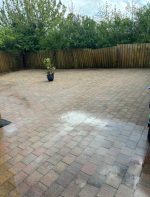 back garden moss and weeds removed cleaned