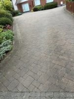 driveway before cleaning