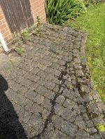 messy, dirty and mossy patio ground