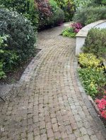 ground before cleaning in garden