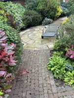 garden ground dirty green weeds moss