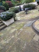 ground green messy dirty needs cleaned