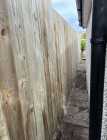 fence on side of garage new fencing