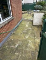 green dirty messy patio garden in need of cleaning property services