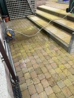 green moss dirt on steps needs cleaned