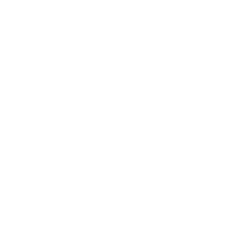 medal medal for 20+ years of service